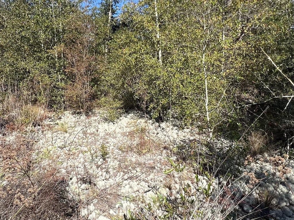 Lot 30 Fairview Road Marianna, FL 32448 - Photo 26 of 30