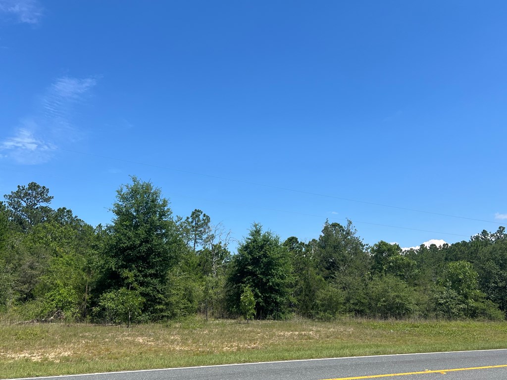 Lot 30 Fairview Road Marianna, FL 32448 - Photo 8 of 30