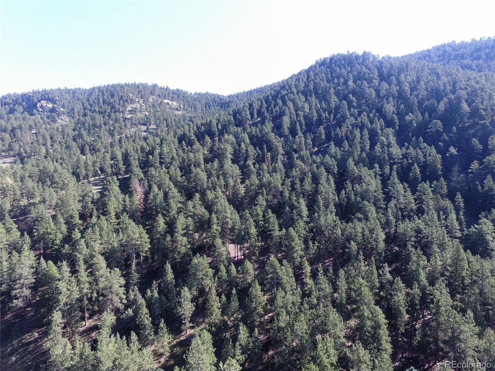 0 South Foxton Road Conifer, CO 80433 - Photo 1 of 10