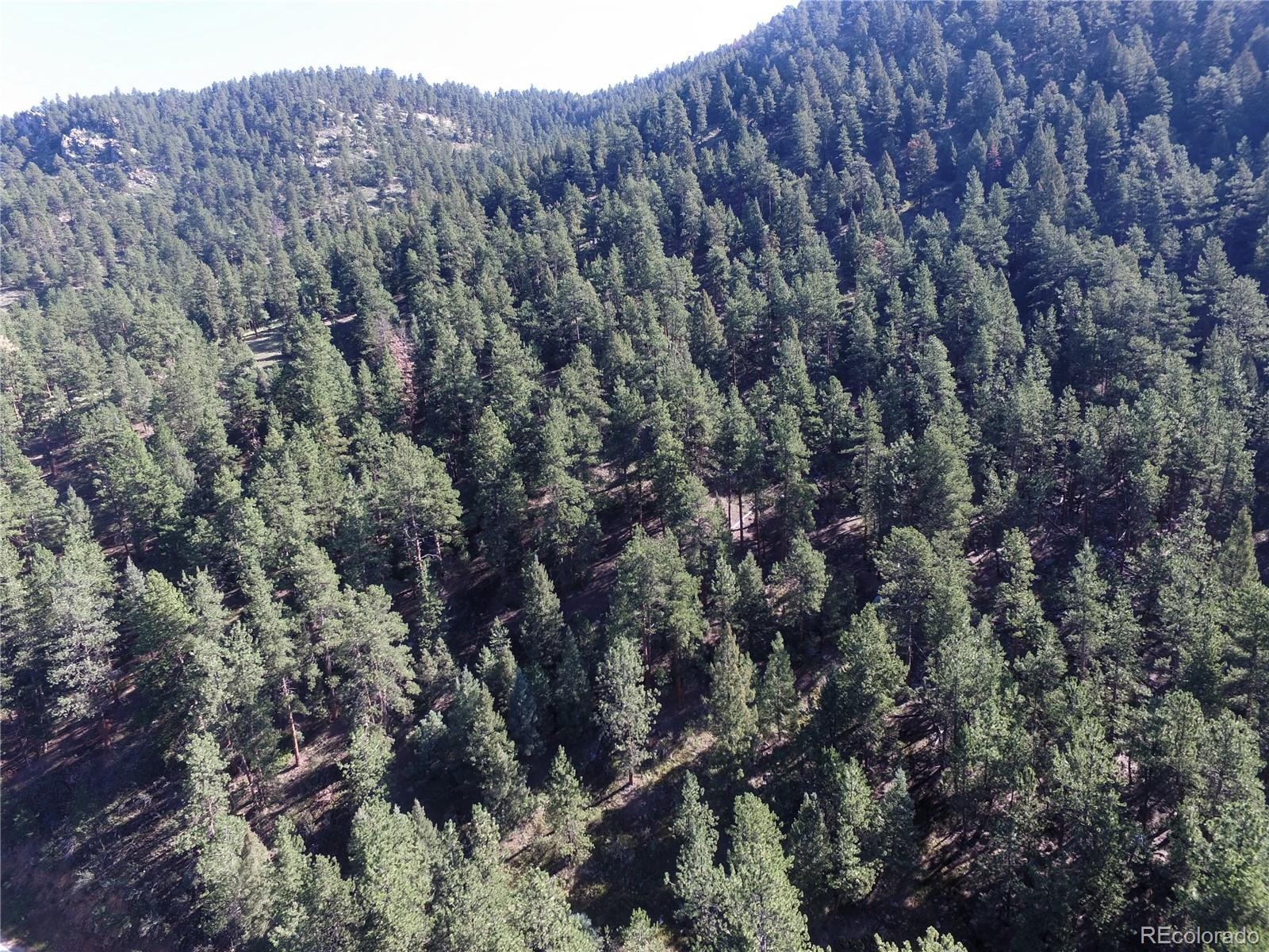 0 South Foxton Road Conifer, CO 80433 - Photo 2 of 10