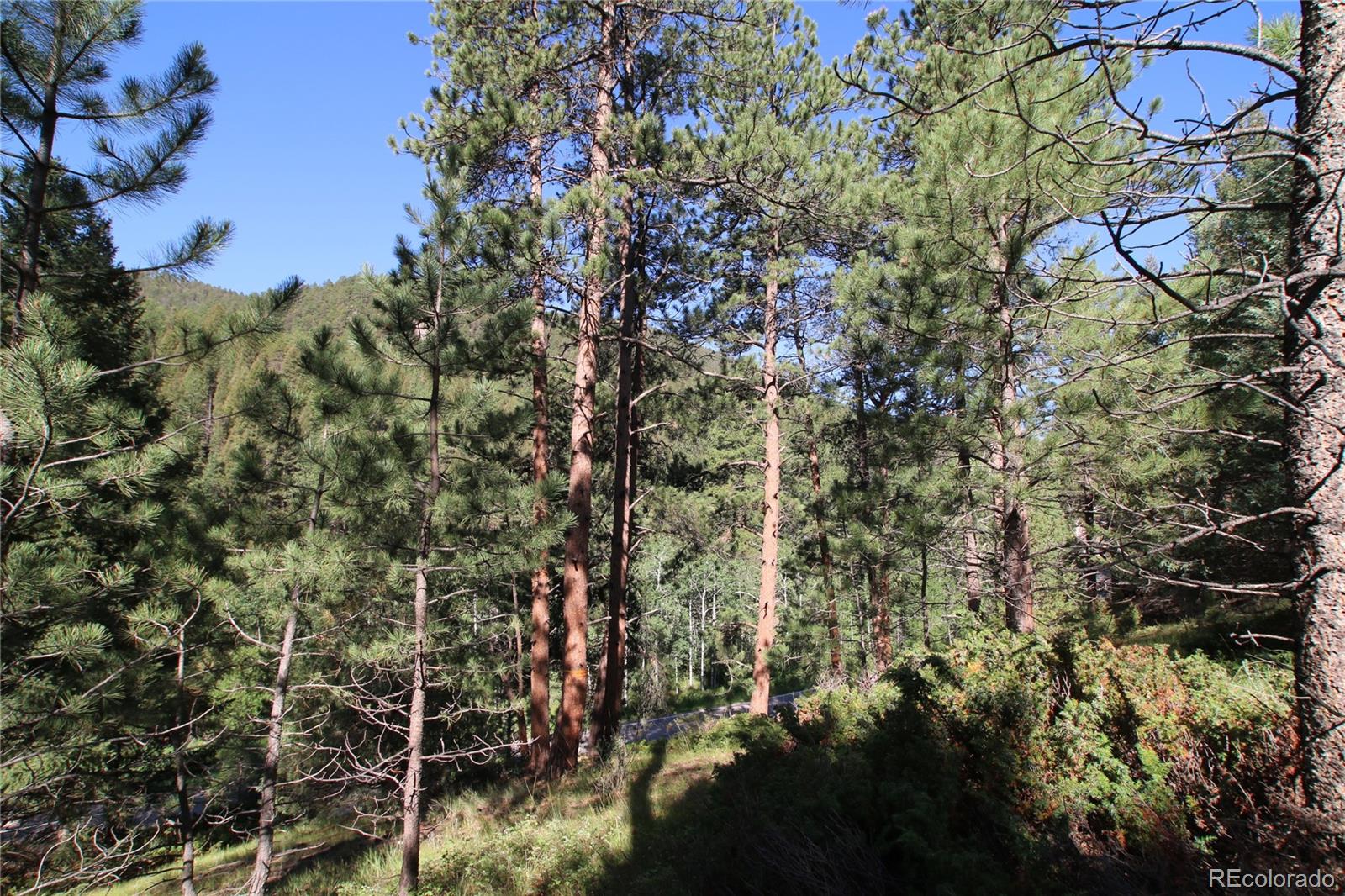 0 South Foxton Road Conifer, CO 80433 - Photo 4 of 10