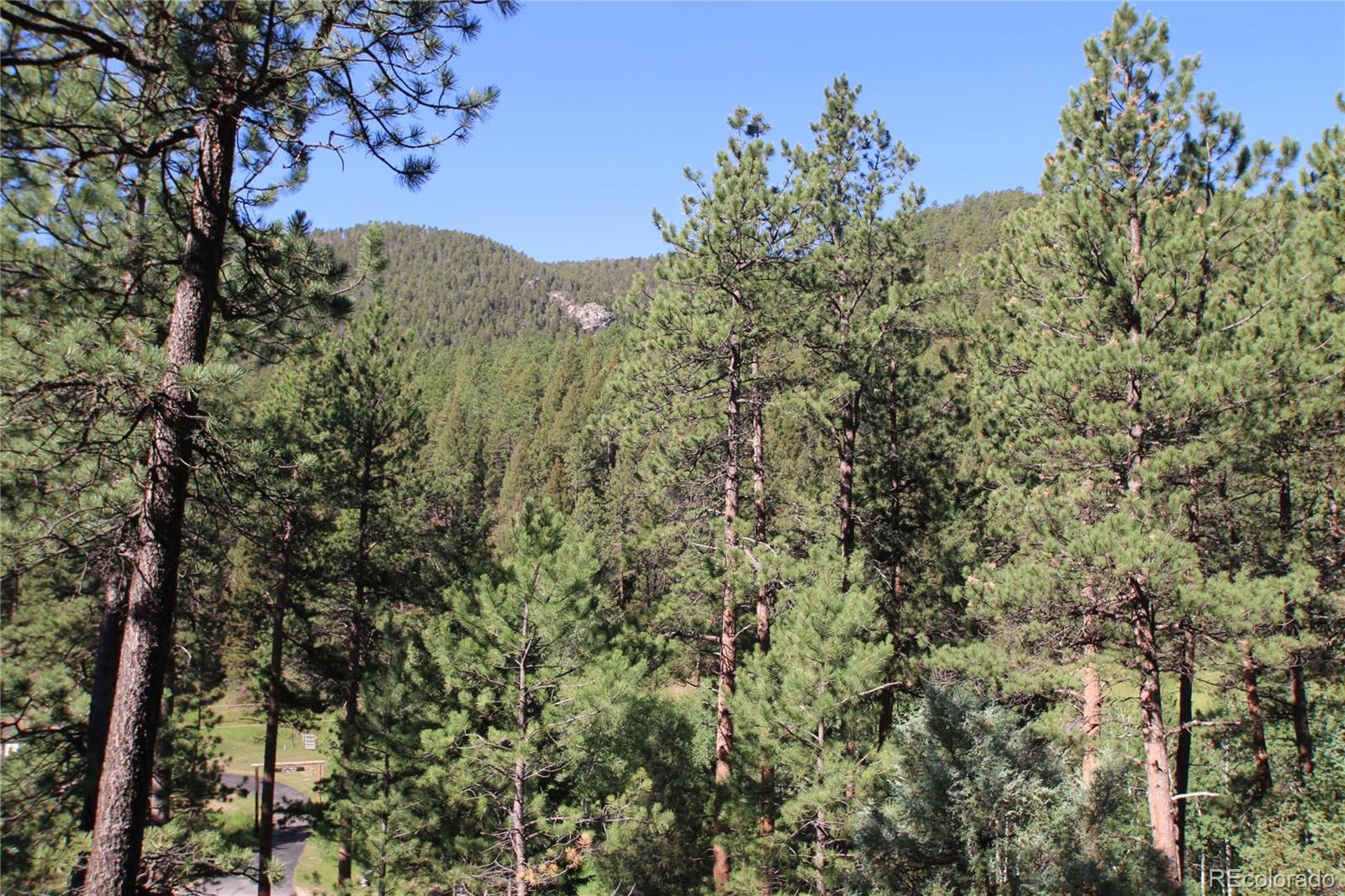 0 South Foxton Road Conifer, CO 80433 - Photo 5 of 10