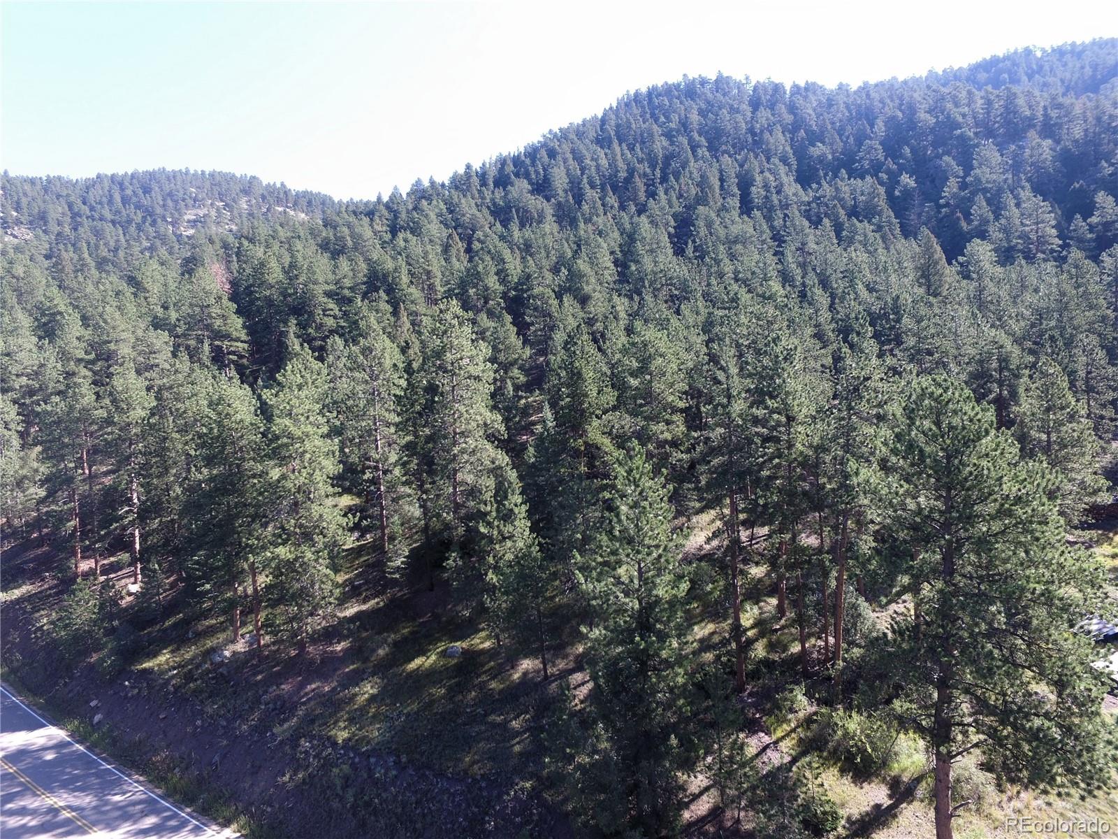 0 South Foxton Road Conifer, CO 80433 - Photo 6 of 10