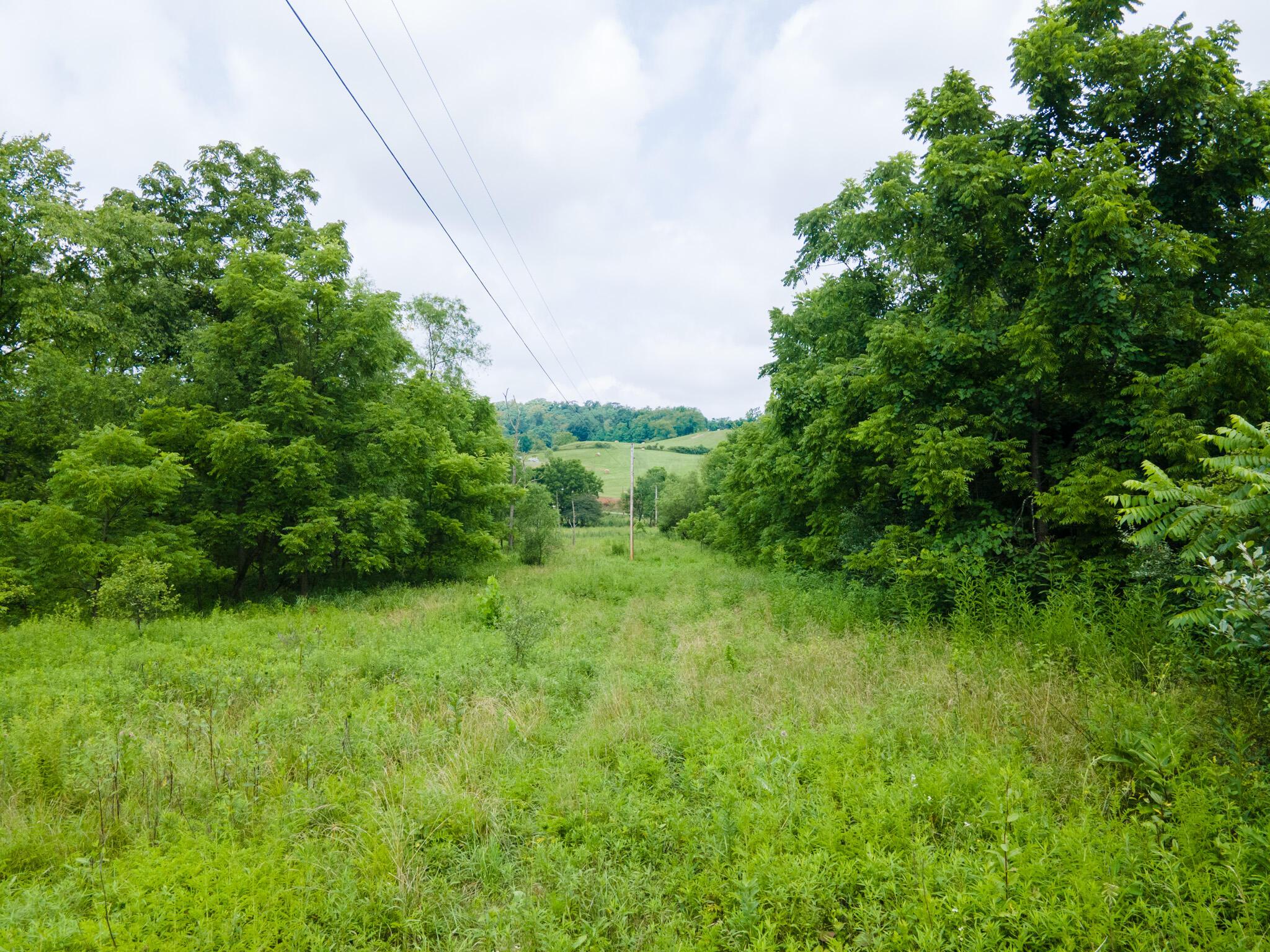 0 White Eyes Road Norwich, OH 43767 - Photo 8 of 14 DJI_0021