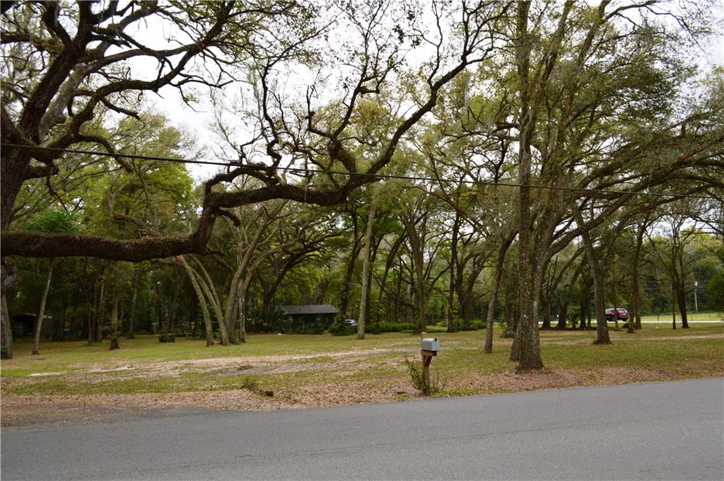 Pretty Pond Road Zephyrhills, FL 33540 - Photo 1 of 1 Looking at lot from Pretty Pond Road