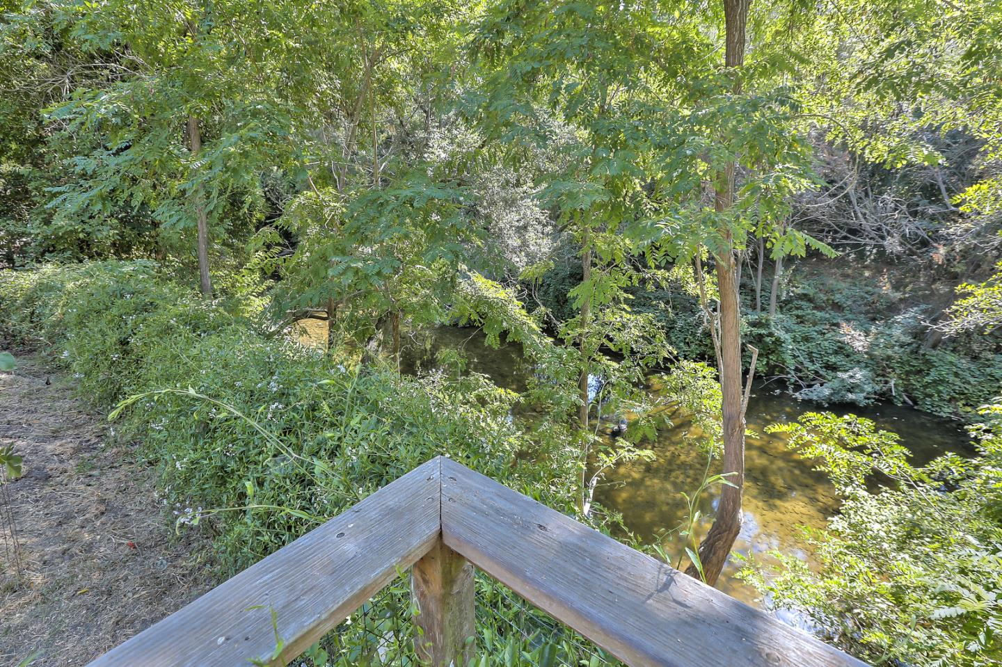 300 Riverside Avenue Ben Lomond, CA 95005 - Photo 18 of 22 a view of a forest from balcony