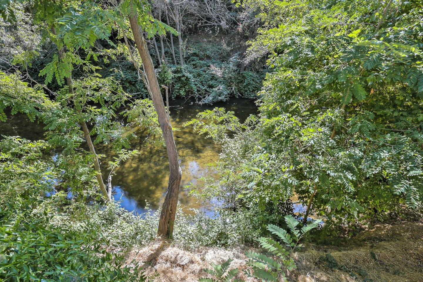 300 Riverside Avenue Ben Lomond, CA 95005 - Photo 19 of 22 a view of a lush green forest