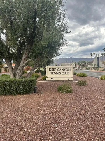 a view of a park with trees
