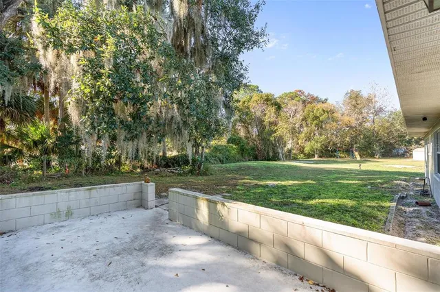 a view of a yard with large trees