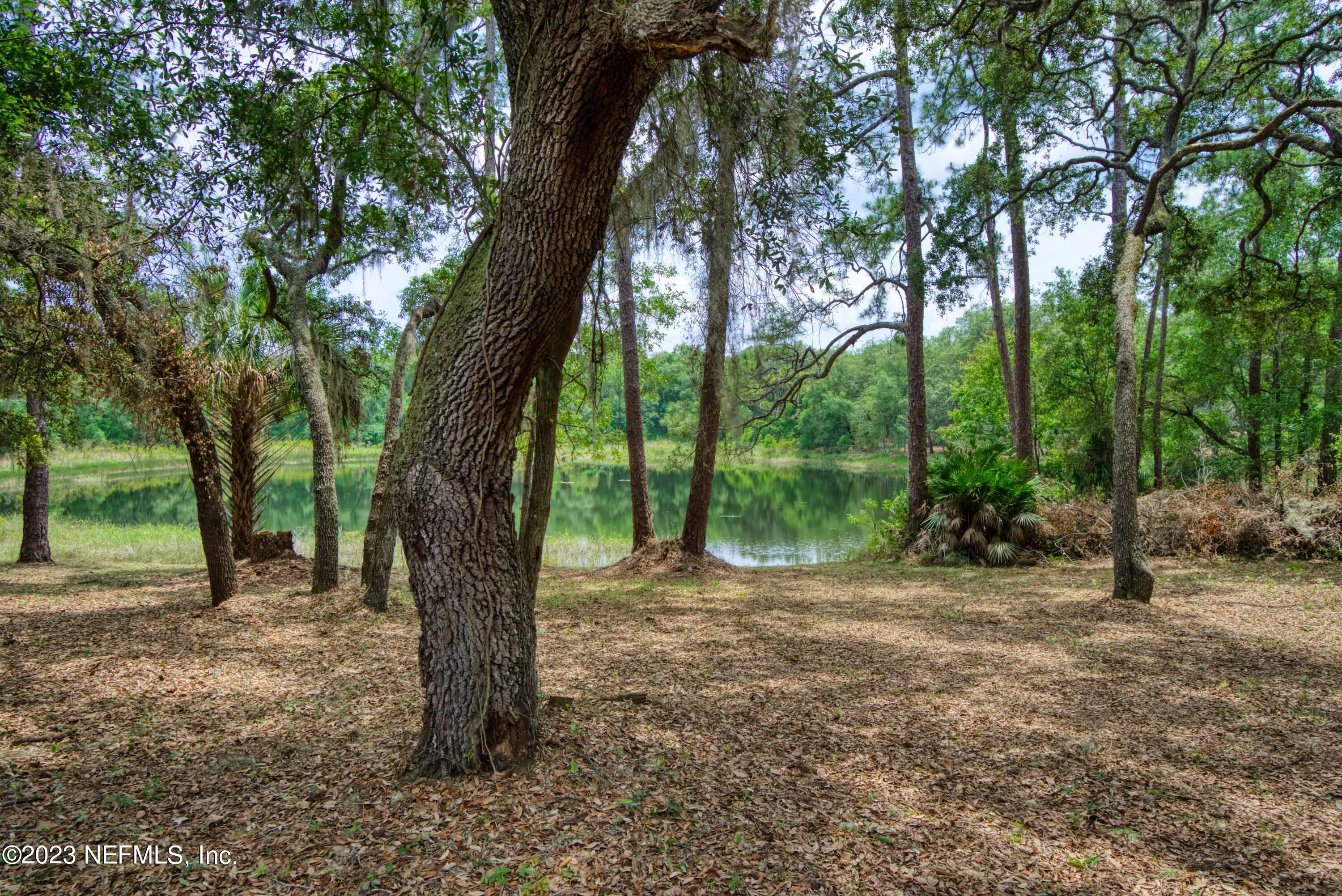 141 West Strickland Road Interlachen, FL 32148 - Photo 15 of 70 141 W Strickland Rd - _34