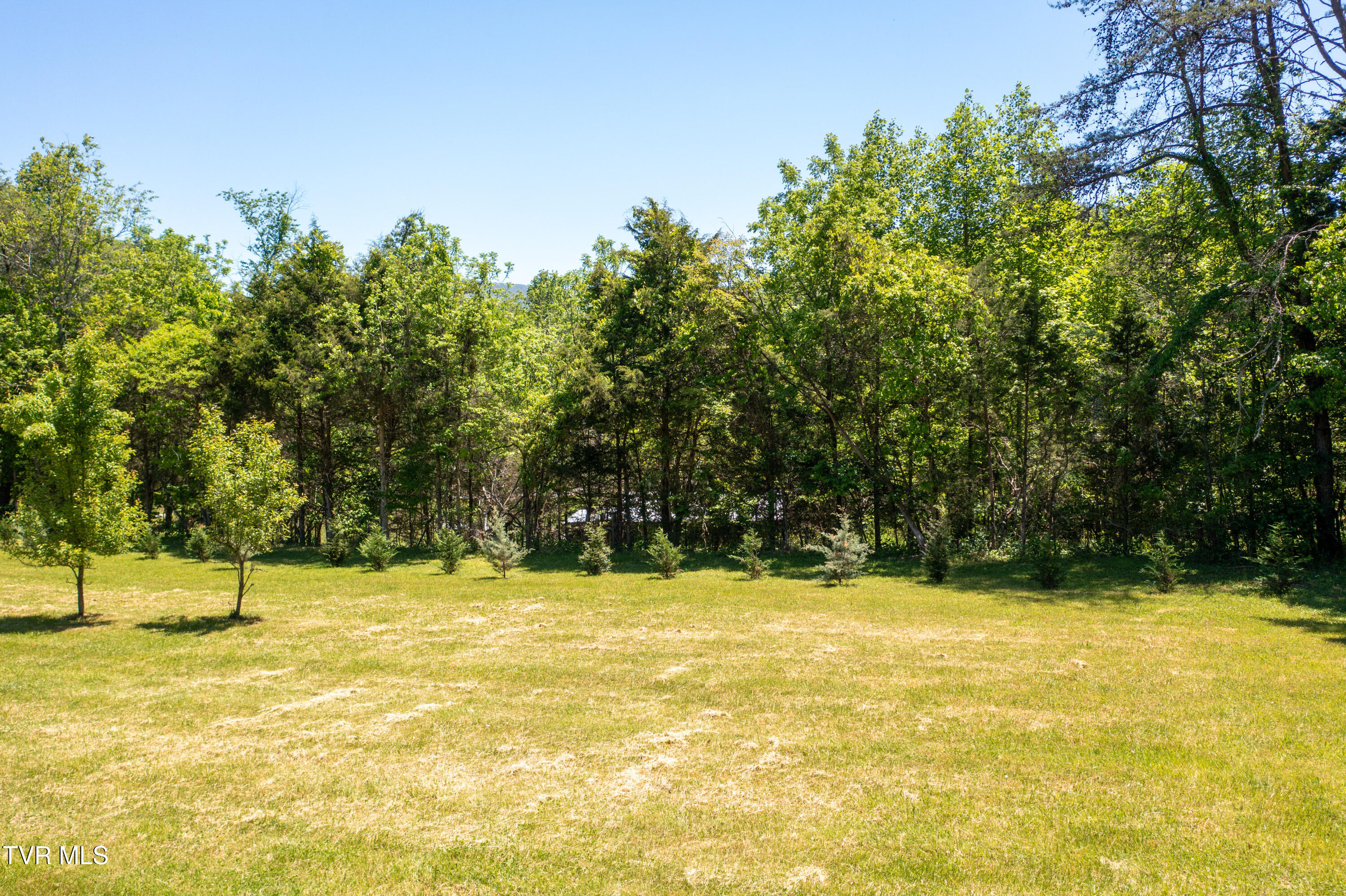 882 Walnut Grove Road Bluff City, TN 37618 - Photo 12 of 45 Walnut Grove Rd-9