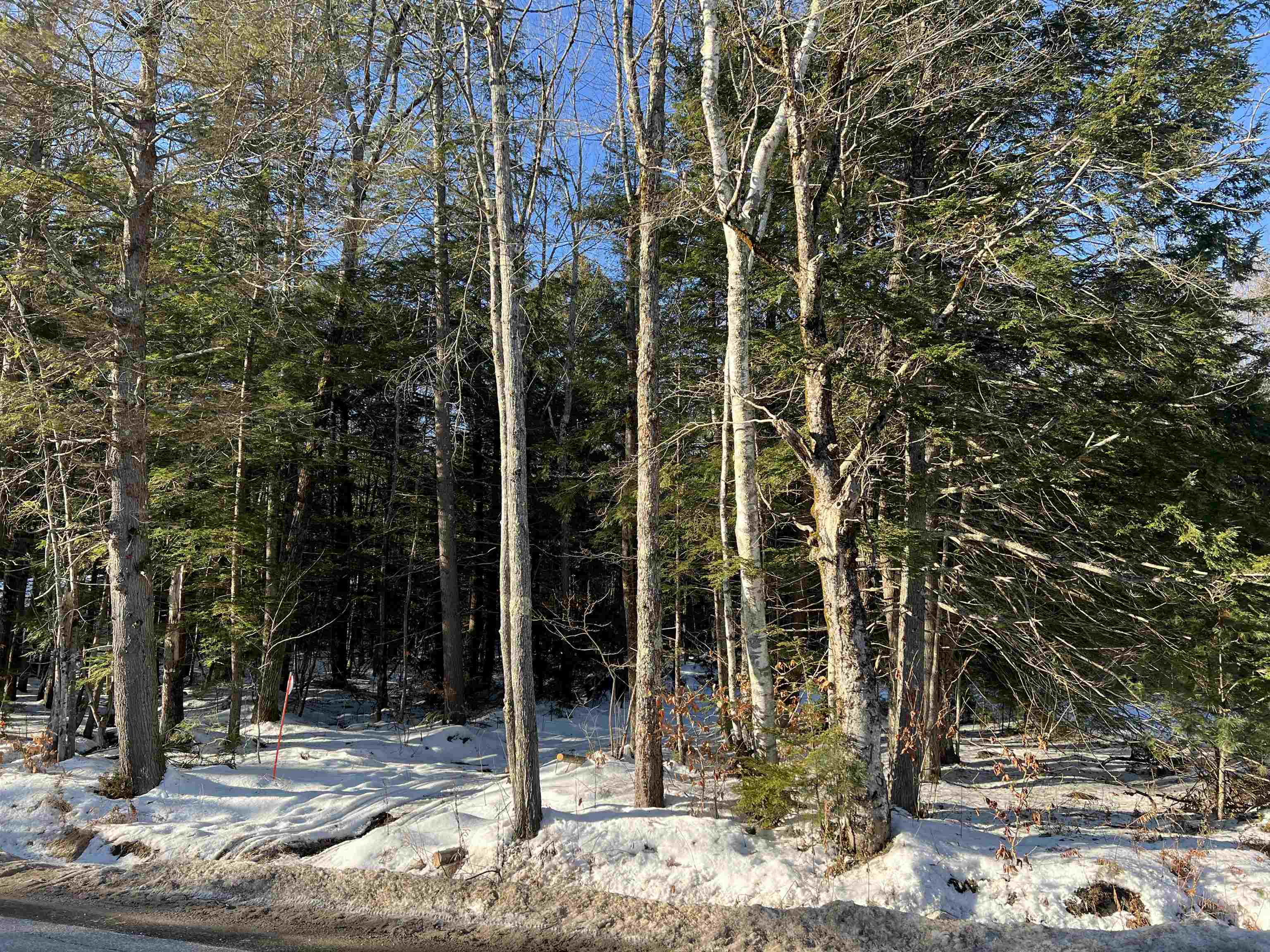 470 Tasker Hill Road Madison, NH 03818 - Photo 2 of 5