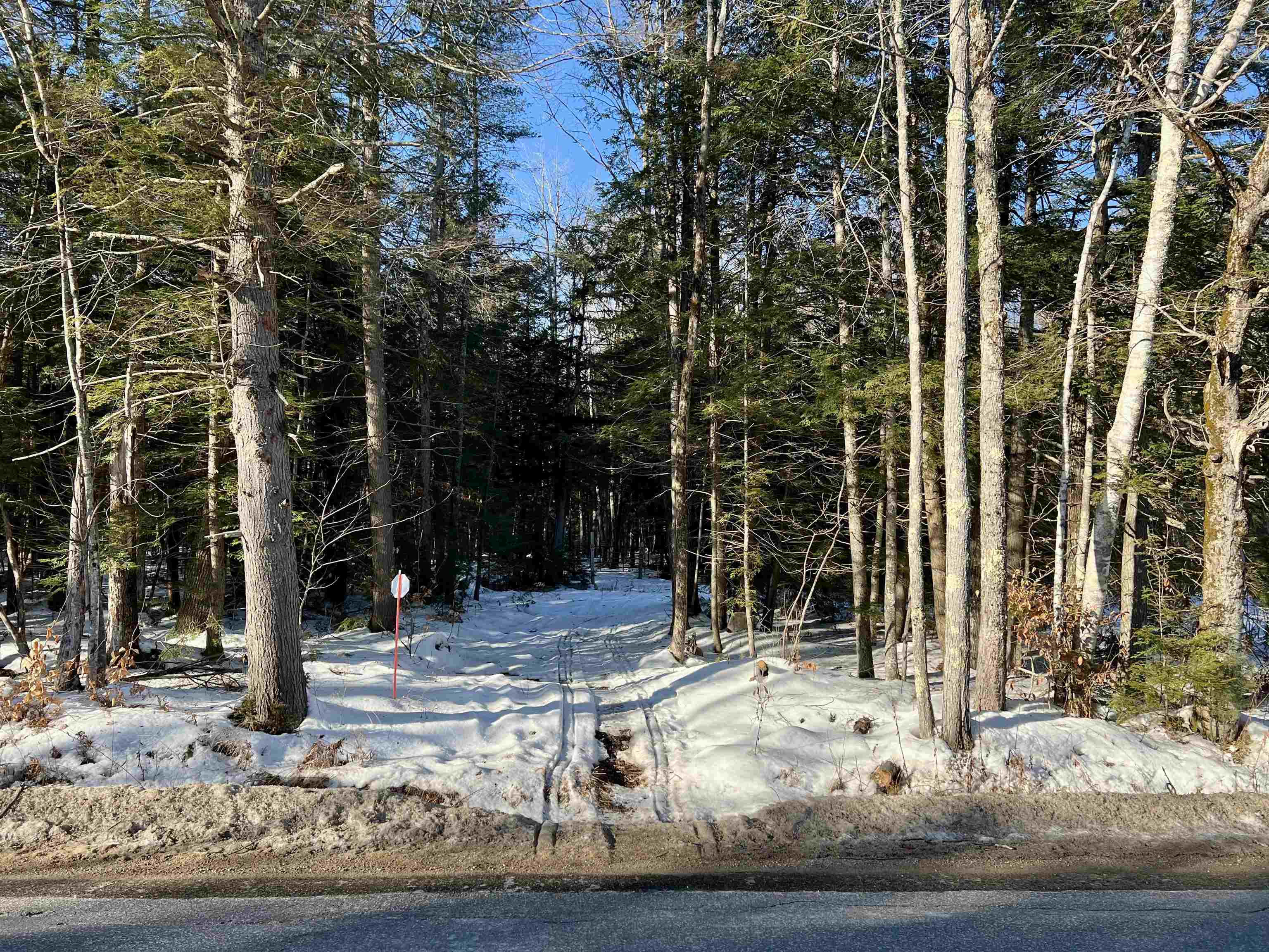 470 Tasker Hill Road Madison, NH 03818 - Photo 3 of 5