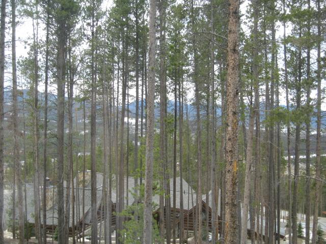 206 Cozens Ridge Fraser, CO 80442 - Photo 20 of 23 Views from 206 Cozens Ridge