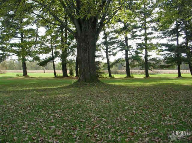4731 West Dupont Road Fort Wayne, IN 46818 - Photo 29 of 30