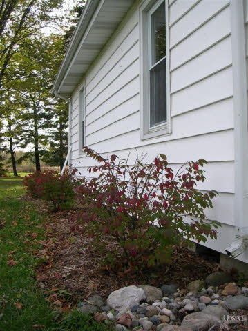 4731 West Dupont Road Fort Wayne, IN 46818 - Photo 4 of 30
