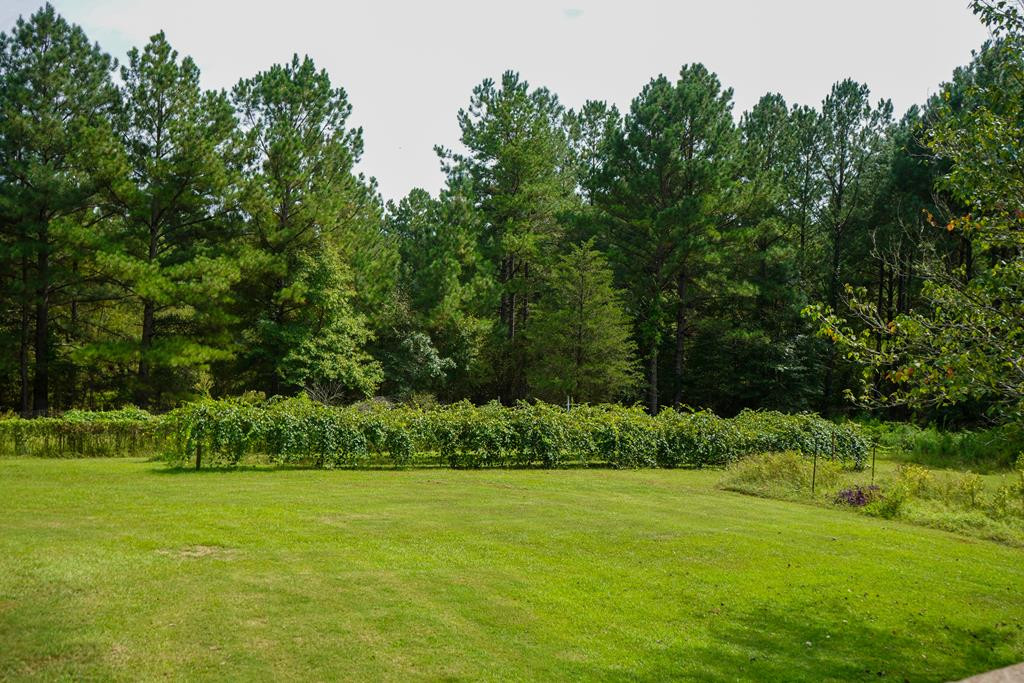 6358 Yelton Road Appling, GA 30802 - Photo 33 of 40