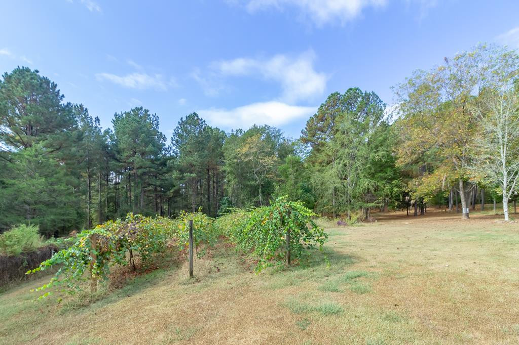 6358 Yelton Road Appling, GA 30802 - Photo 36 of 40