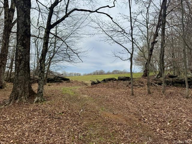 Lot 4 Shaver Hill Road Meridale, NY 13806 - Photo 17 of 45 Gallery Image 17