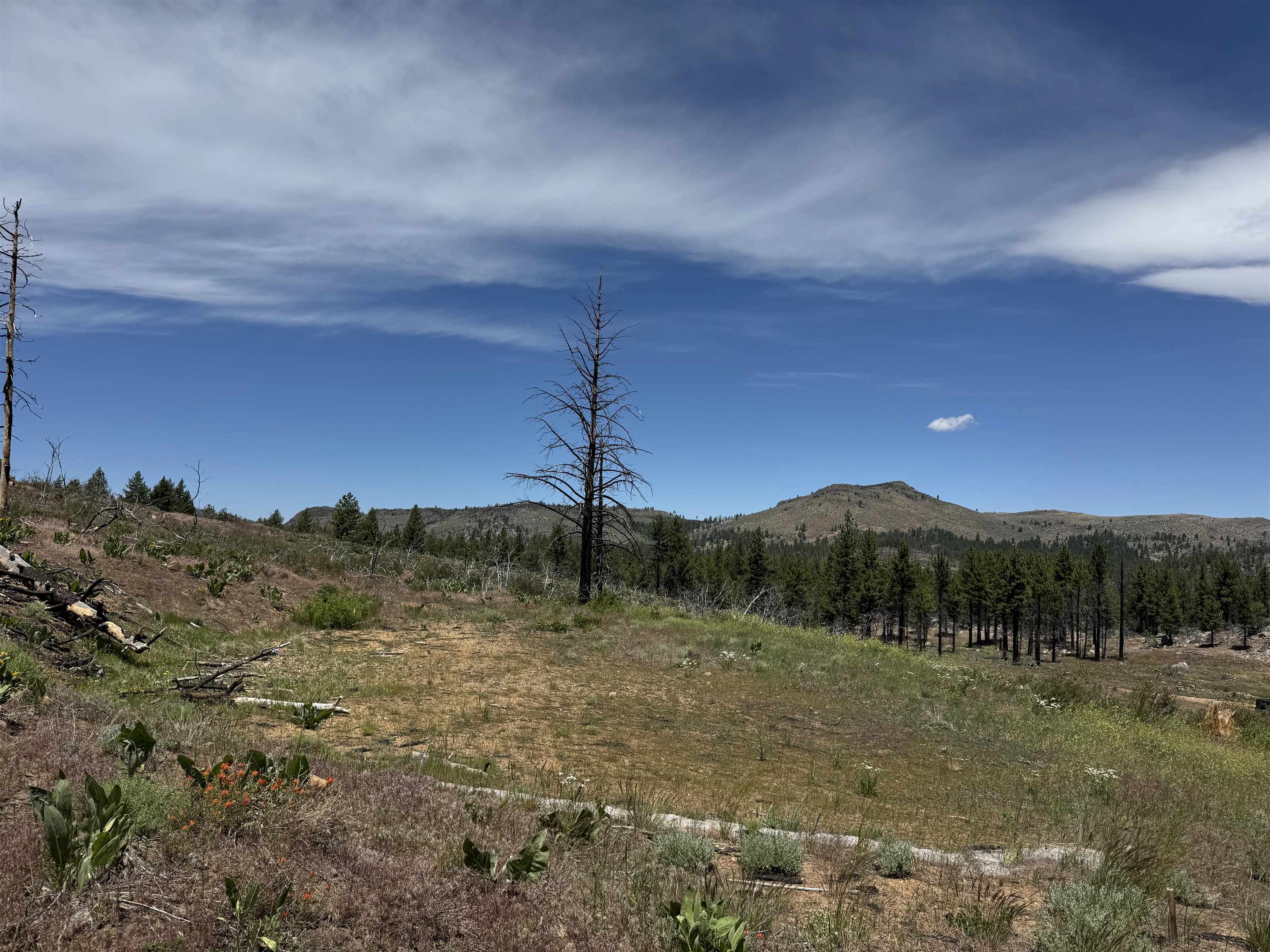 434-100 Diamond Mountain Road Doyle, CA 96109 - Photo 56 of 57