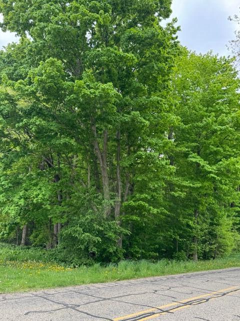 Three Rivers Mi 49093 Road Three Rivers, MI 49093 - Photo 1 of 2 IMG_1524