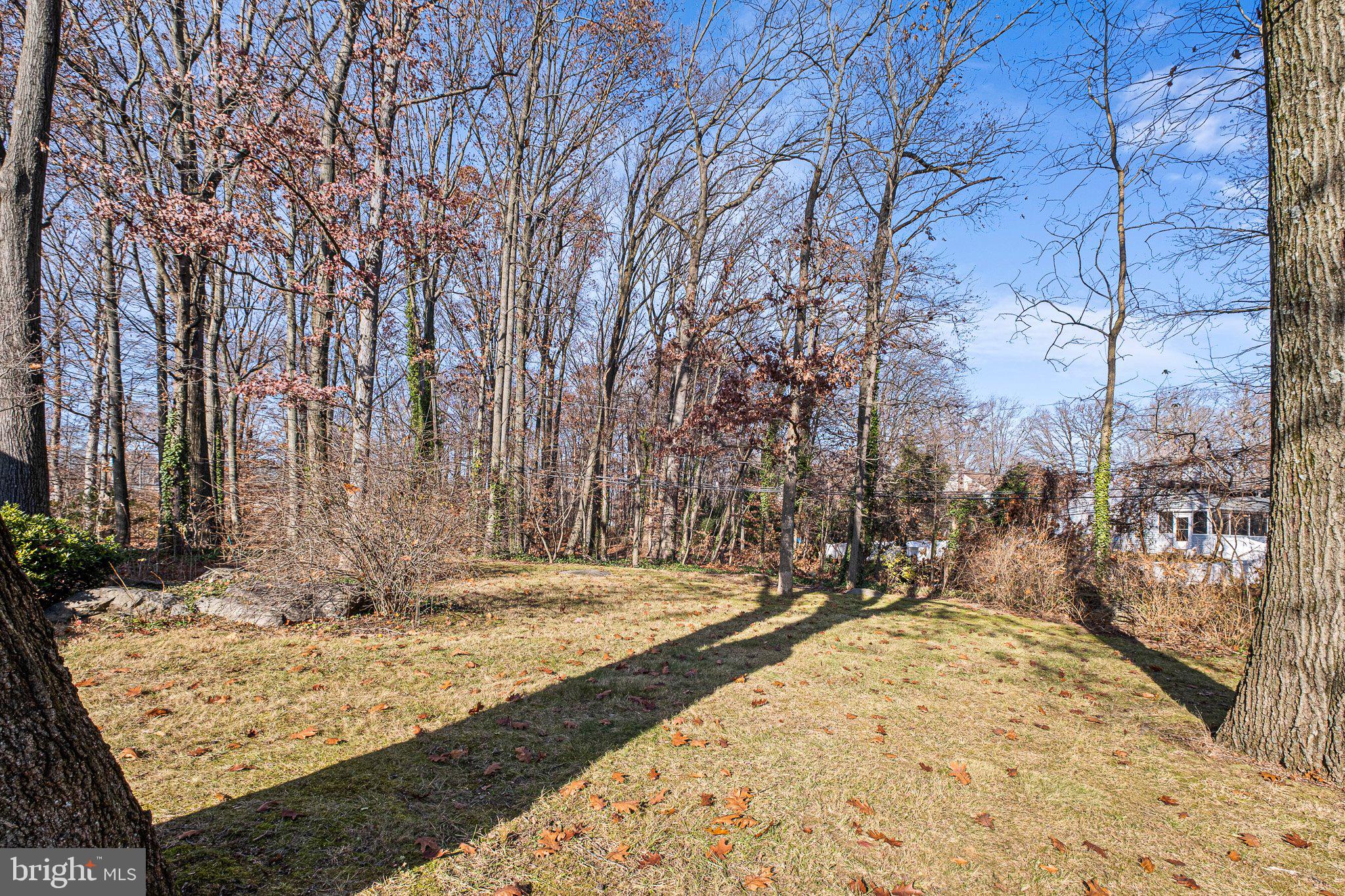 2409 Sweet Briar Road Wilmington, DE 19810 - Photo 24 of 27 Backyard overlooks Woodbine Park