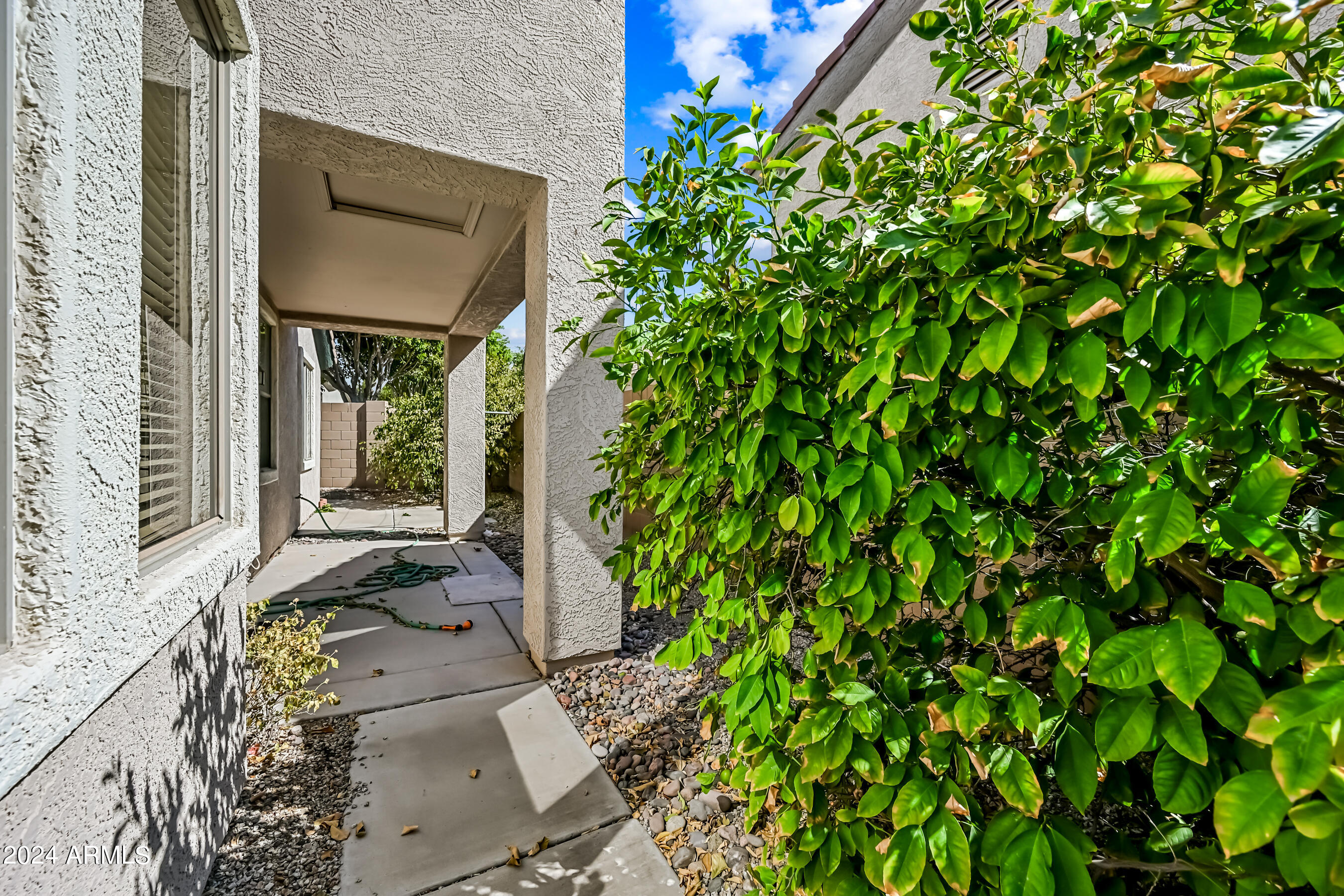 6707 East Roland Street Mesa, AZ 85215 - Photo 14 of 32 a house with a yard