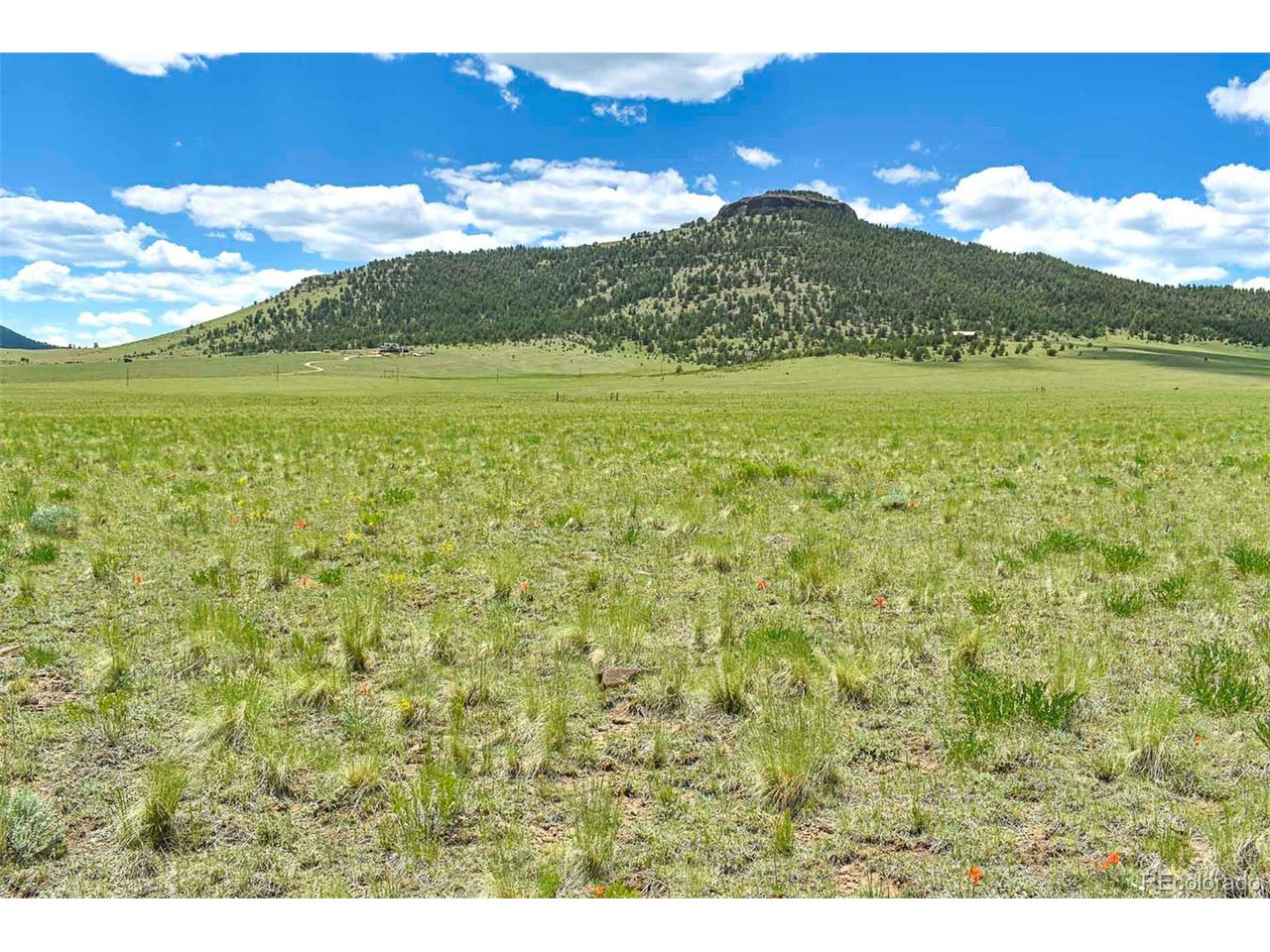 63 County Road Guffey, CO 80820 - Photo 23 of 35 Gallery Image 23