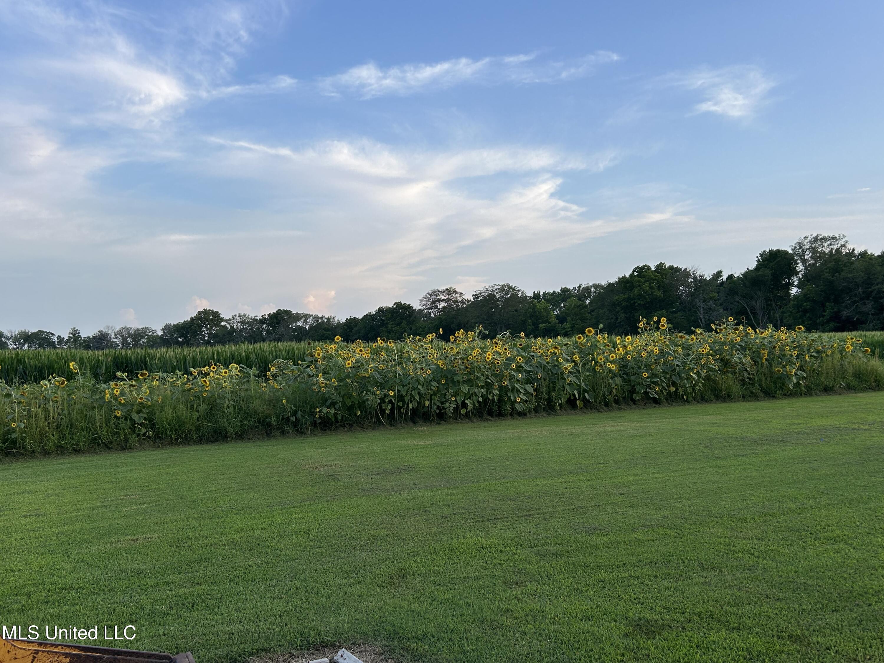 1171 South Bayou Road Boyle, MS 38730 - Photo 28 of 28 IMG_5203