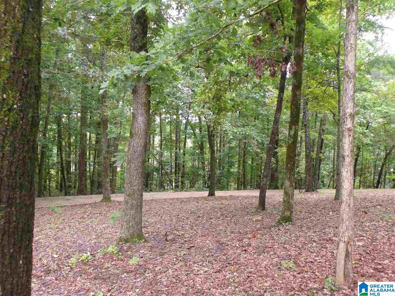 1100 Pine Ridge Circle Sylacauga, AL 35150 - Photo 33 of 35
