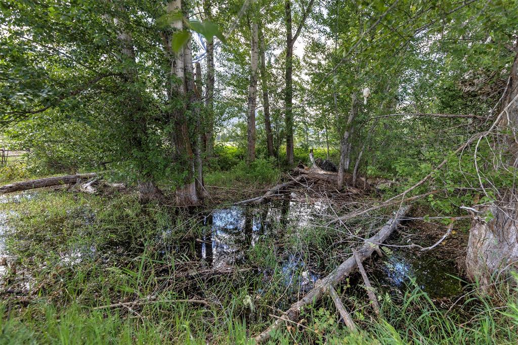 20233 Leo Hansen Road Florence, MT 59833 - Photo 28 of 30 Gallery Image 28
