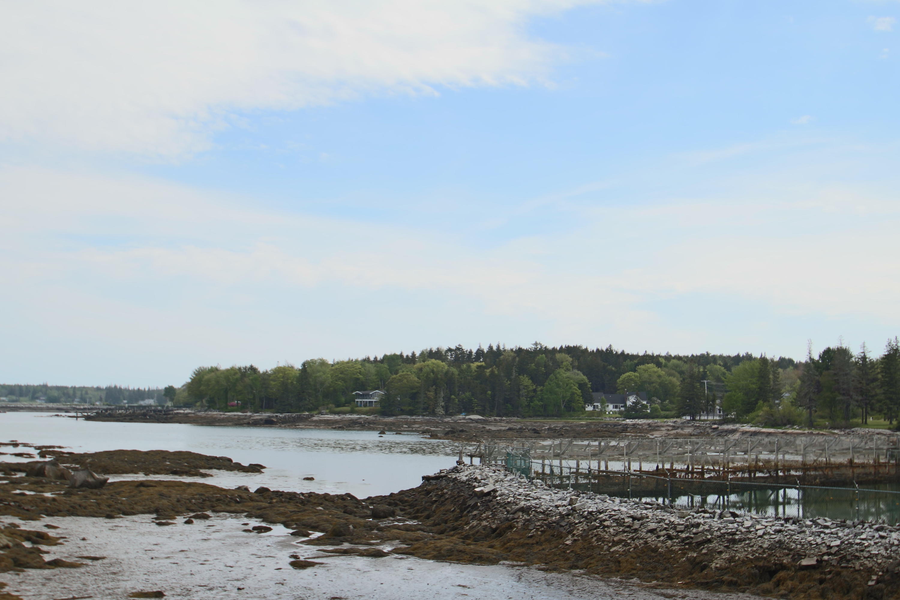 127 River Road St. George, ME 04860 - Photo 3 of 29 IMG_9620 - Copy