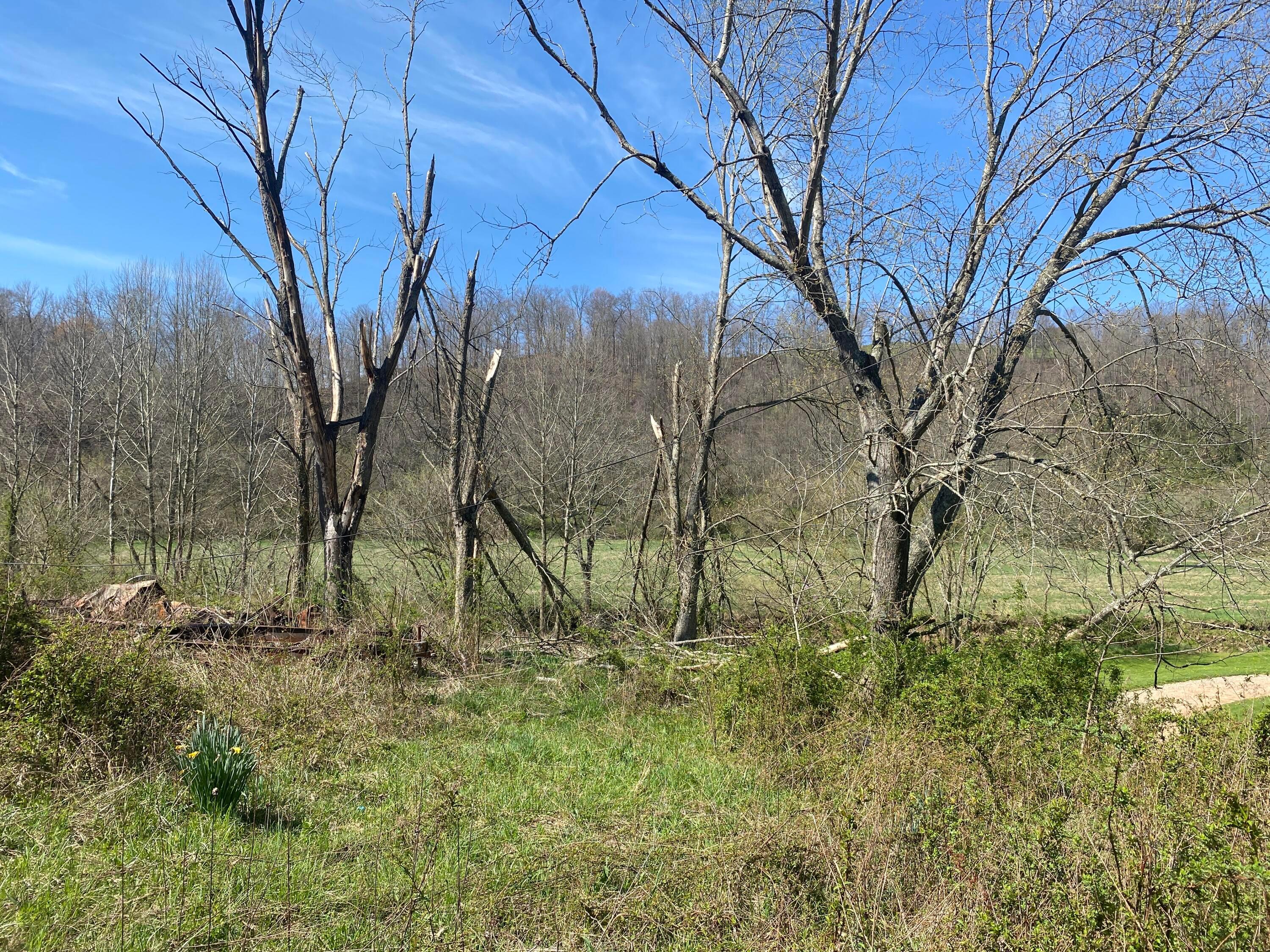 0 West Side Tr Reedsville, OH 45772 - Photo 11 of 19 Old homesite on the left of photo.