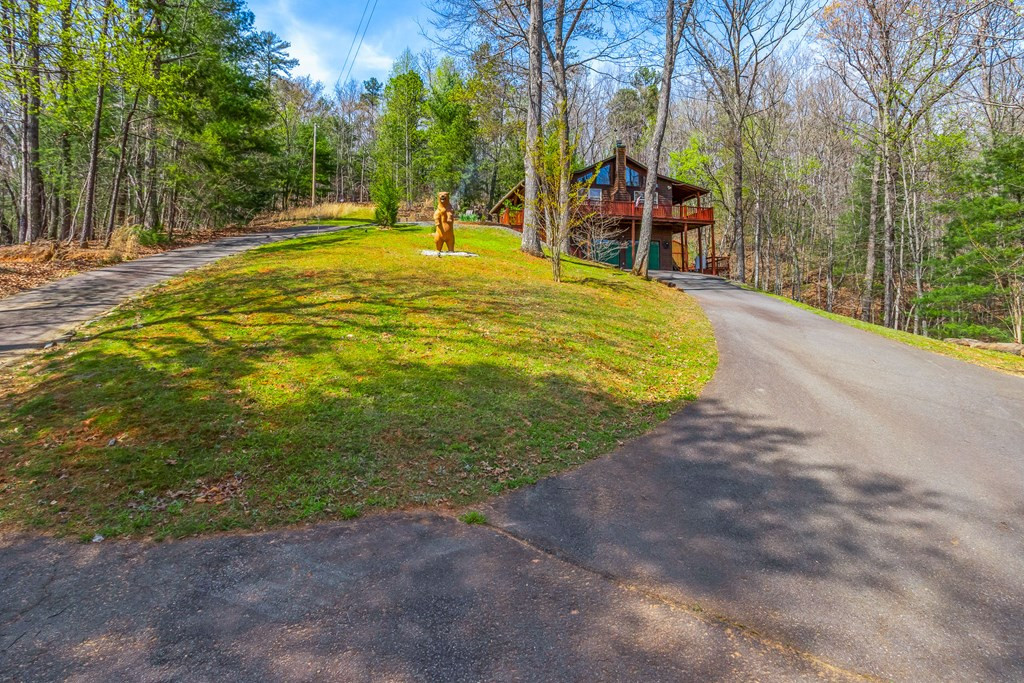 138 Wolf Print Ridge Murphy, NC 28906 - Photo 3 of 60