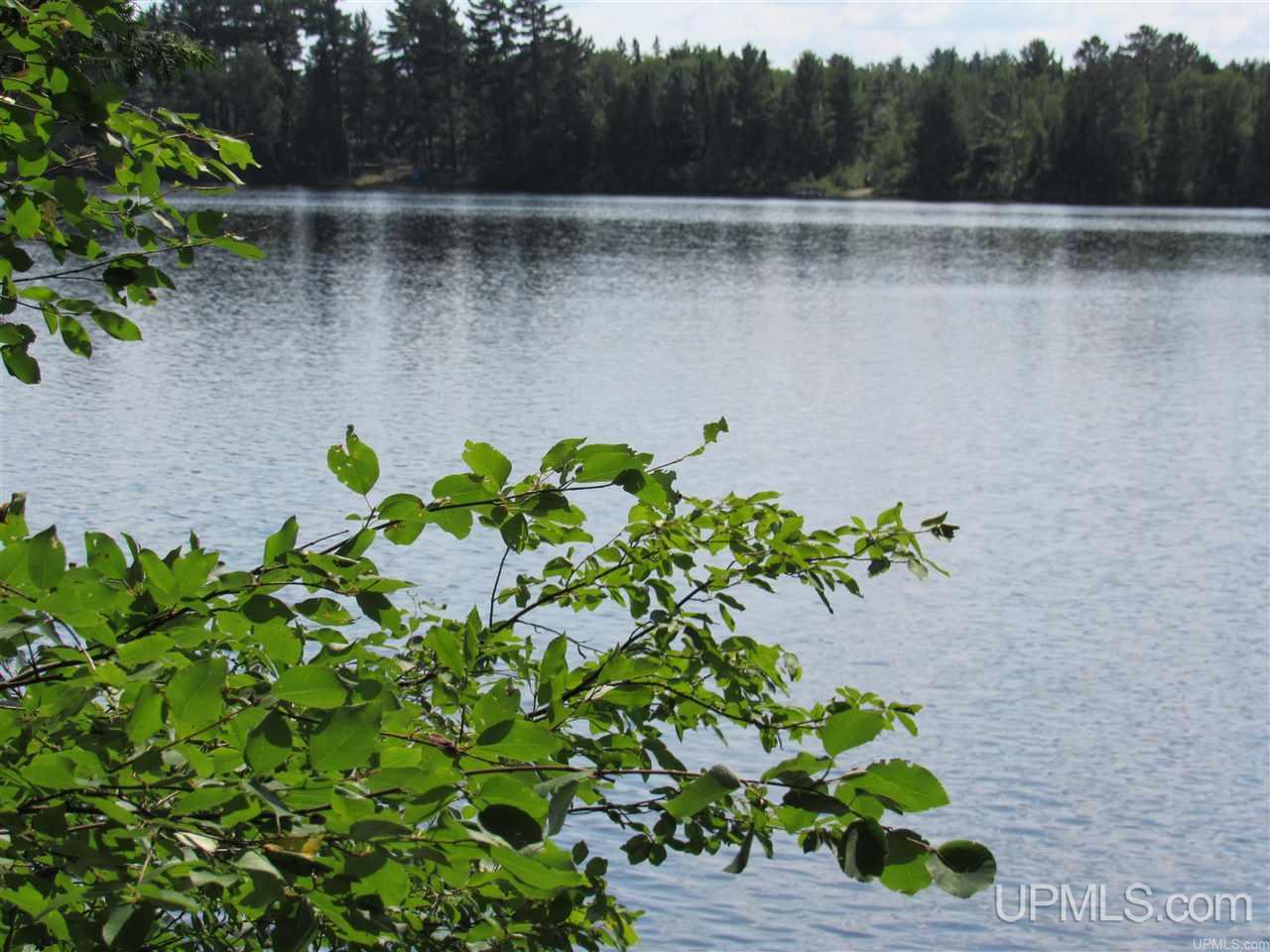 Tbd Berry Road Michigamme, MI 49861 - Photo 6 of 17