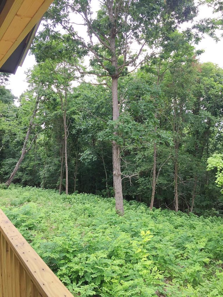 0 Pine Tree Drive Decaturville, TN 38329 - Photo 18 of 24 Gallery Image 18