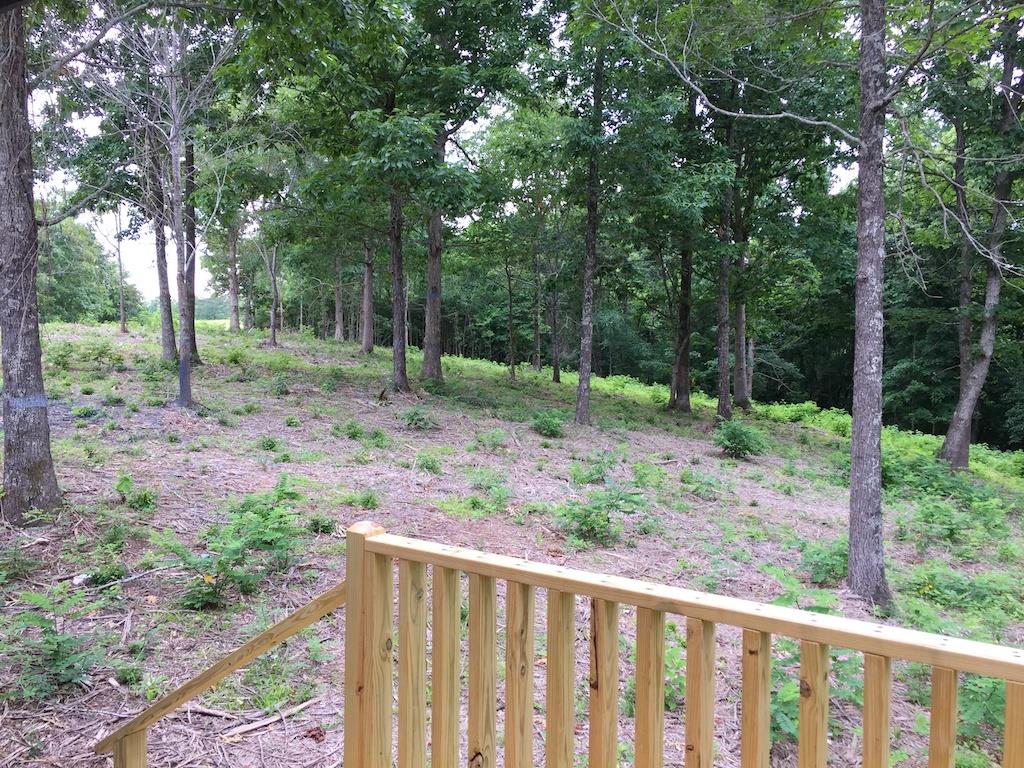 0 Pine Tree Drive Decaturville, TN 38329 - Photo 19 of 24 Gallery Image 19