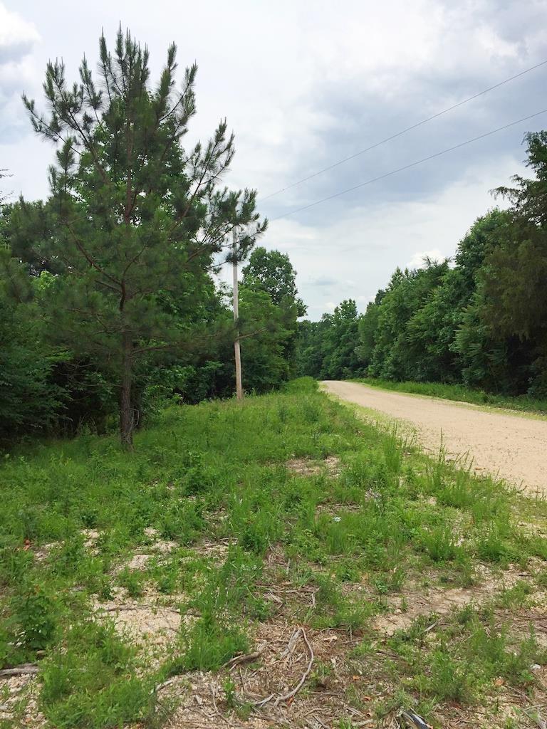 0 Pine Tree Drive Decaturville, TN 38329 - Photo 23 of 24 Gallery Image 23