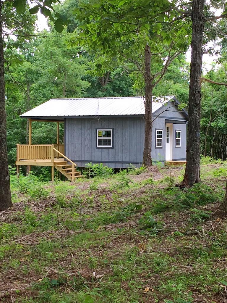 0 Pine Tree Drive Decaturville, TN 38329 - Photo 6 of 24 Gallery Image 6