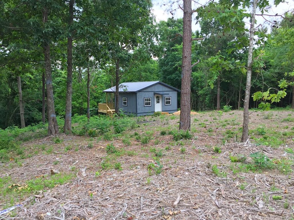 0 Pine Tree Drive Decaturville, TN 38329 - Photo 8 of 24 Gallery Image 8