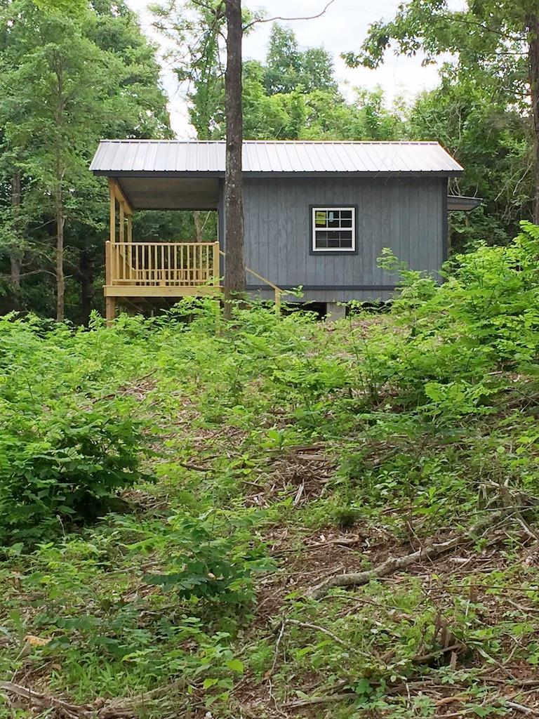 0 Pine Tree Drive Decaturville, TN 38329 - Photo 9 of 24 Gallery Image 9