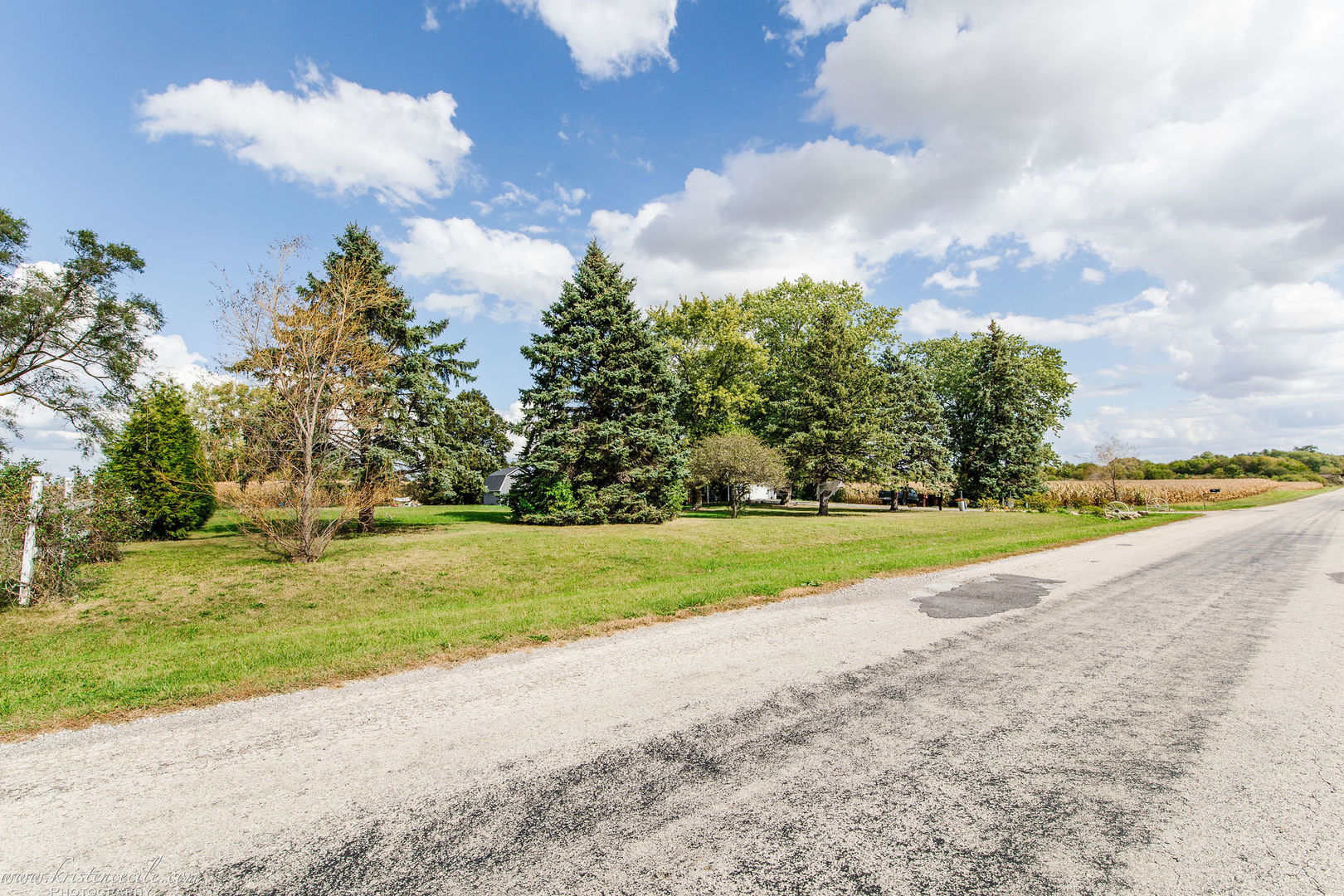 936 West Corning Road Beecher, IL 60401 - Photo 50 of 72 a view of a yard and entertaining space