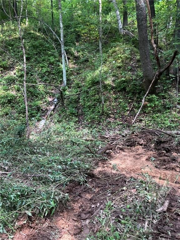 N3953-201 Bear Pen Road Arkansaw, WI 54721 - Photo 43 of 43