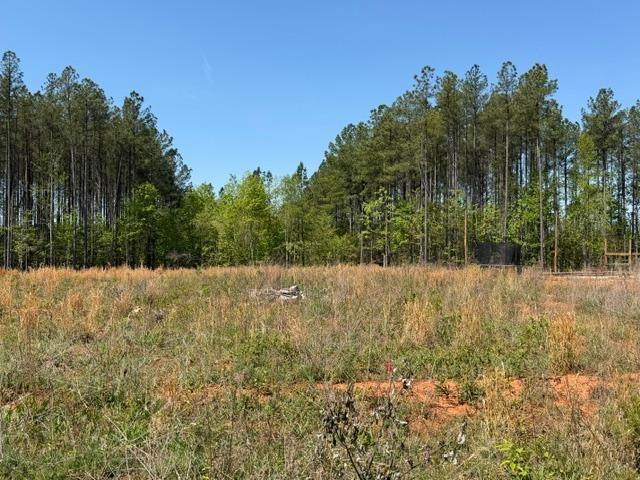 Cub Creek Road Appomattox, VA 24522 - Photo 1 of 3 Gallery Image 1