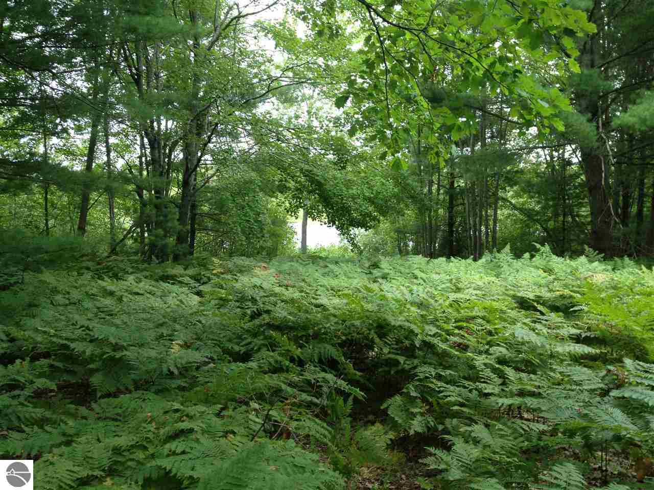 1835 Round Lake Road Interlochen, MI 49643 - Photo 10 of 29 1783588-9.JPG