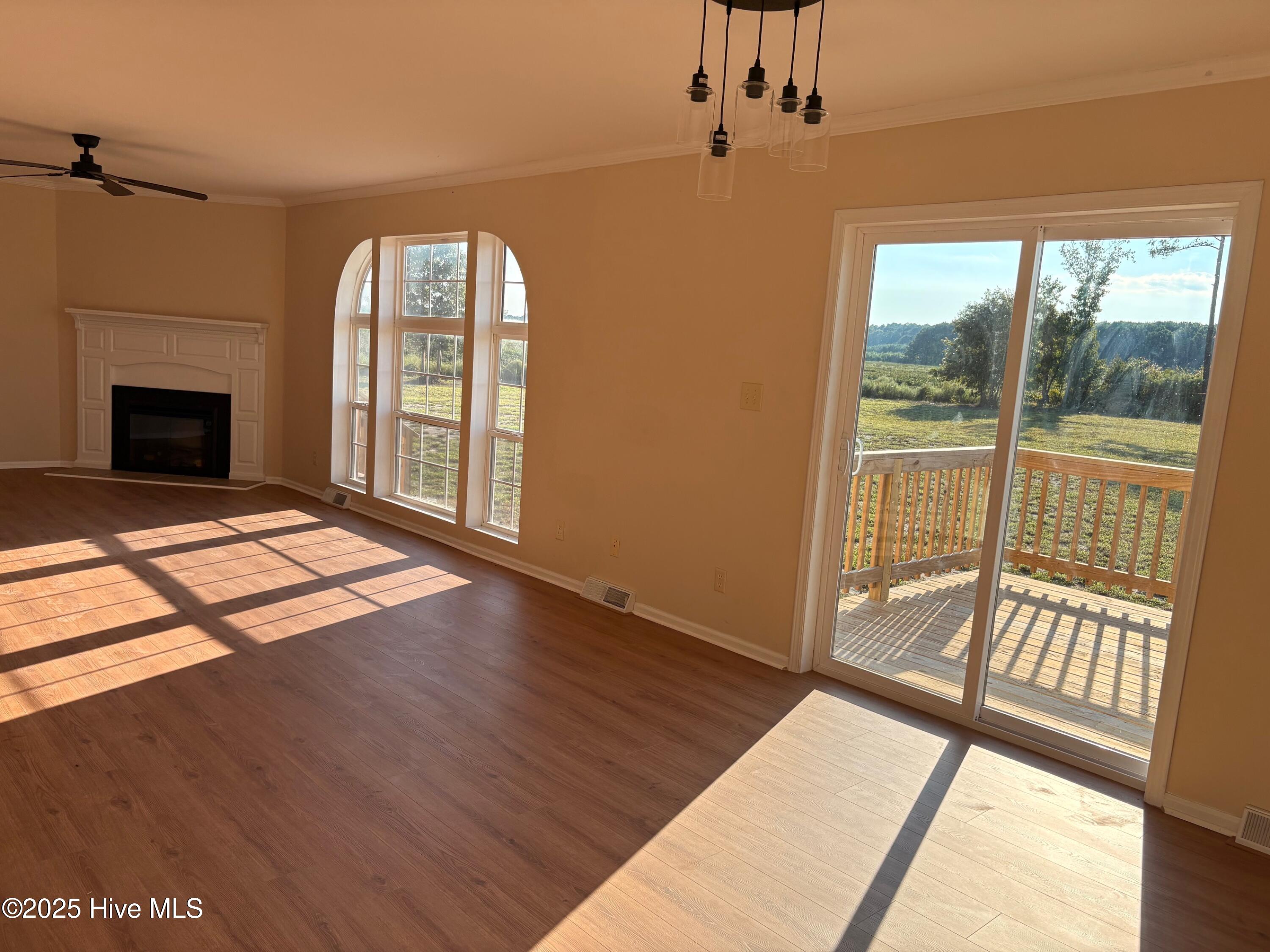419 Shadneck Road Elizabeth City, NC 27909 - Photo 4 of 37 419 LR late afternoon