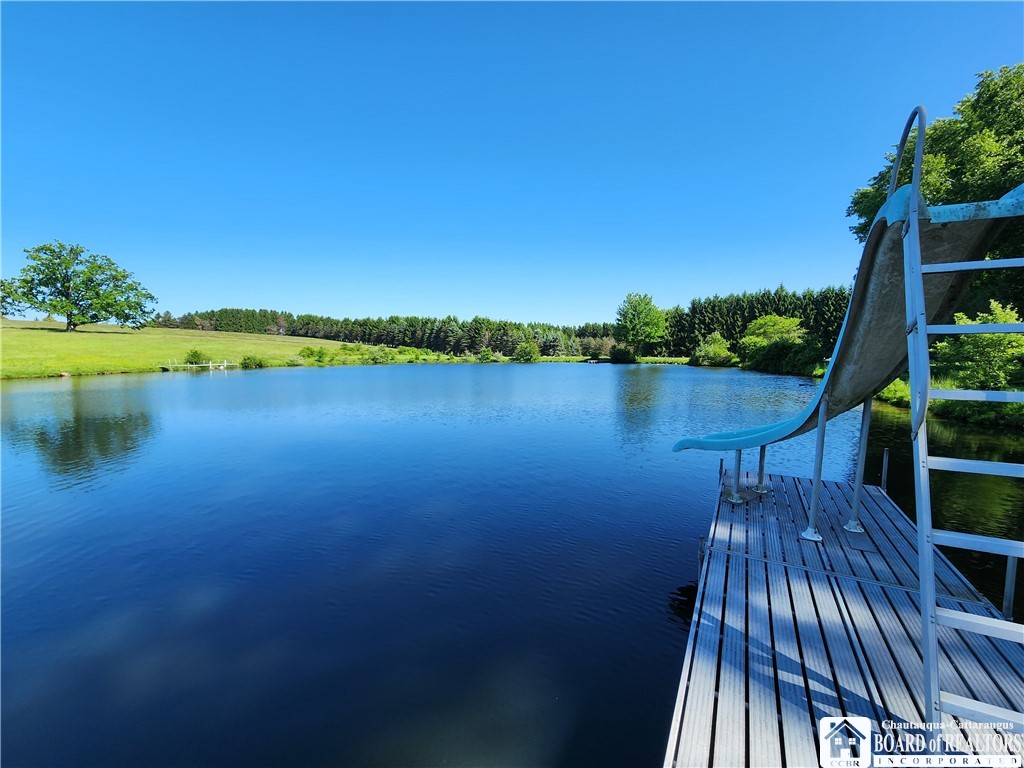 3539 Morley Road North Harmony, NY 14710 - Photo 26 of 35 Slide for Swimming