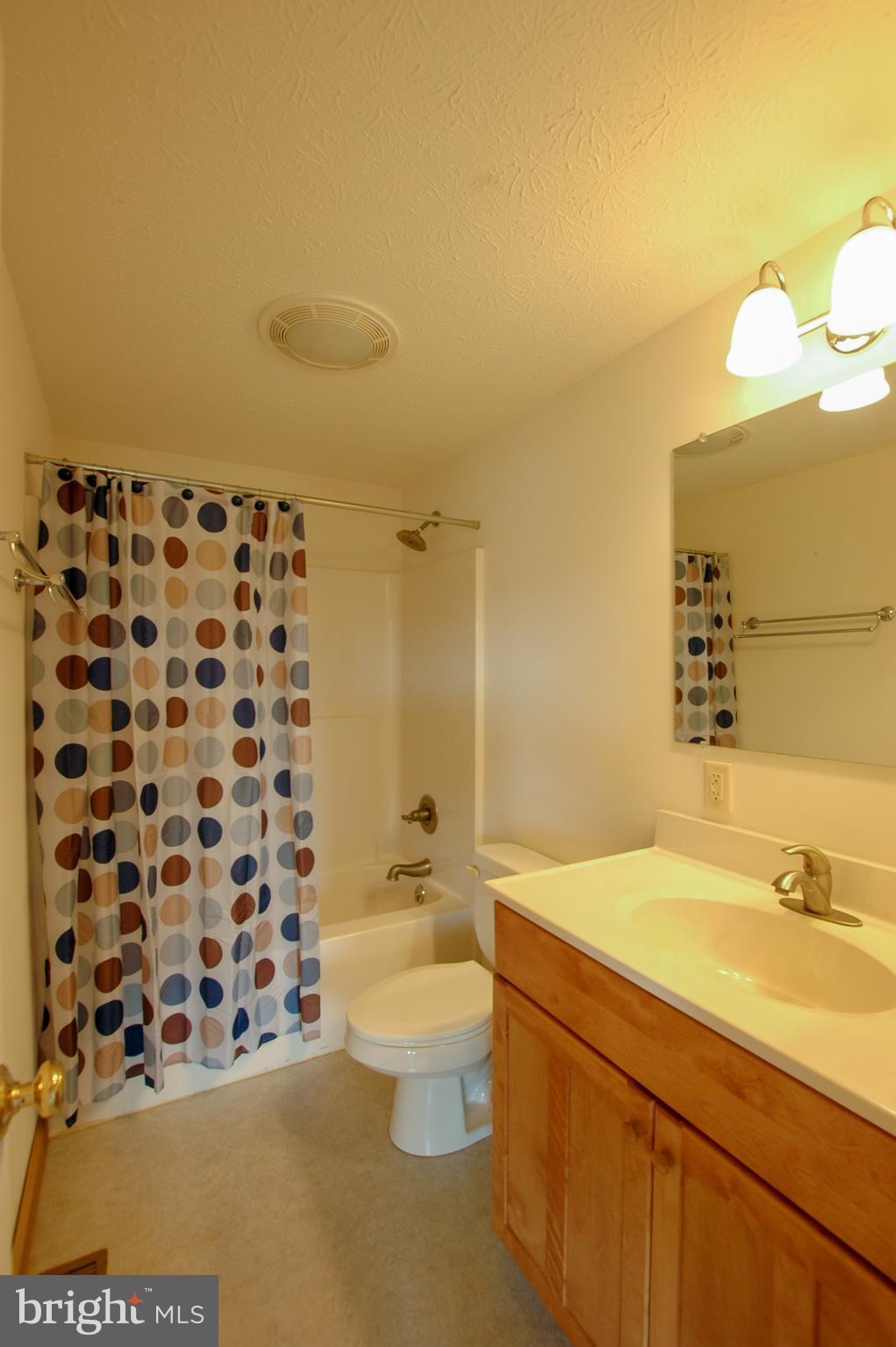 1049 Feather Road Terra Alta, WV 26764 - Photo 29 of 29 Full bath with storage closet