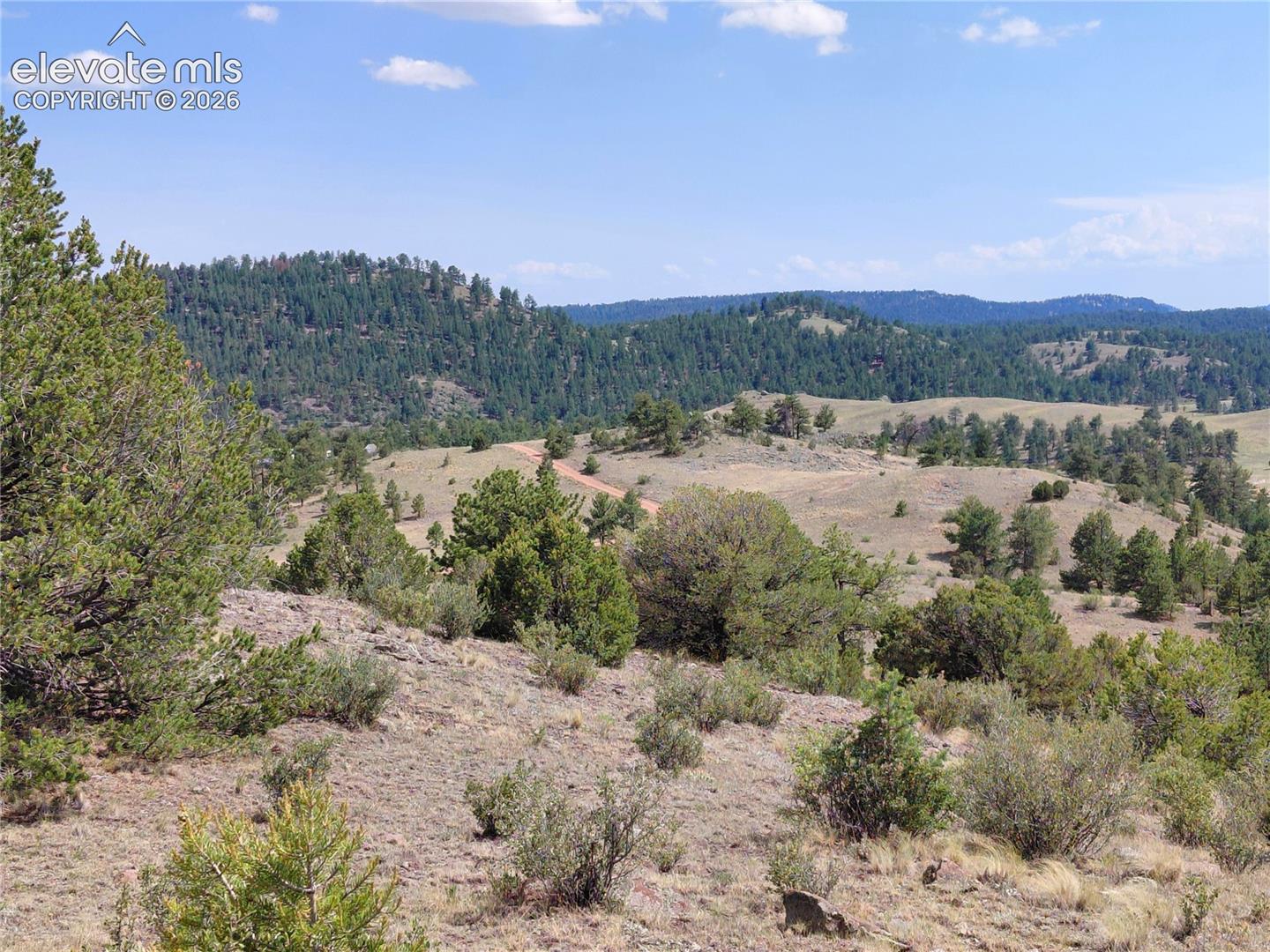 70 Owls Nest Road Guffey, CO 80820 - Photo 20 of 26 Gallery Image 20