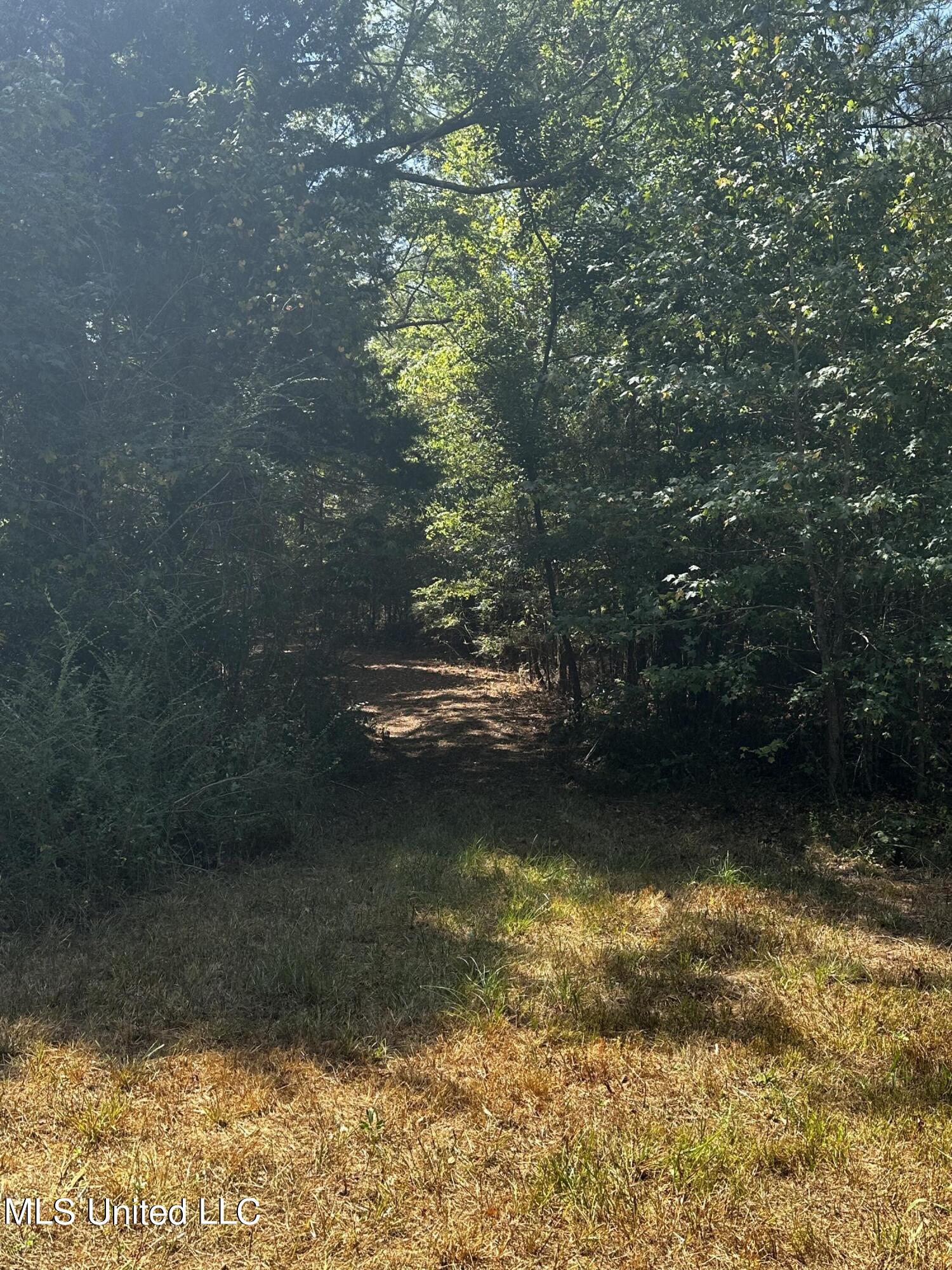 Roberts Road Canton, MS 39046 - Photo 2 of 3 IMG_1664